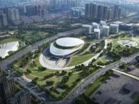国务院关于加快发展体育产业促进体育消费的若干意见